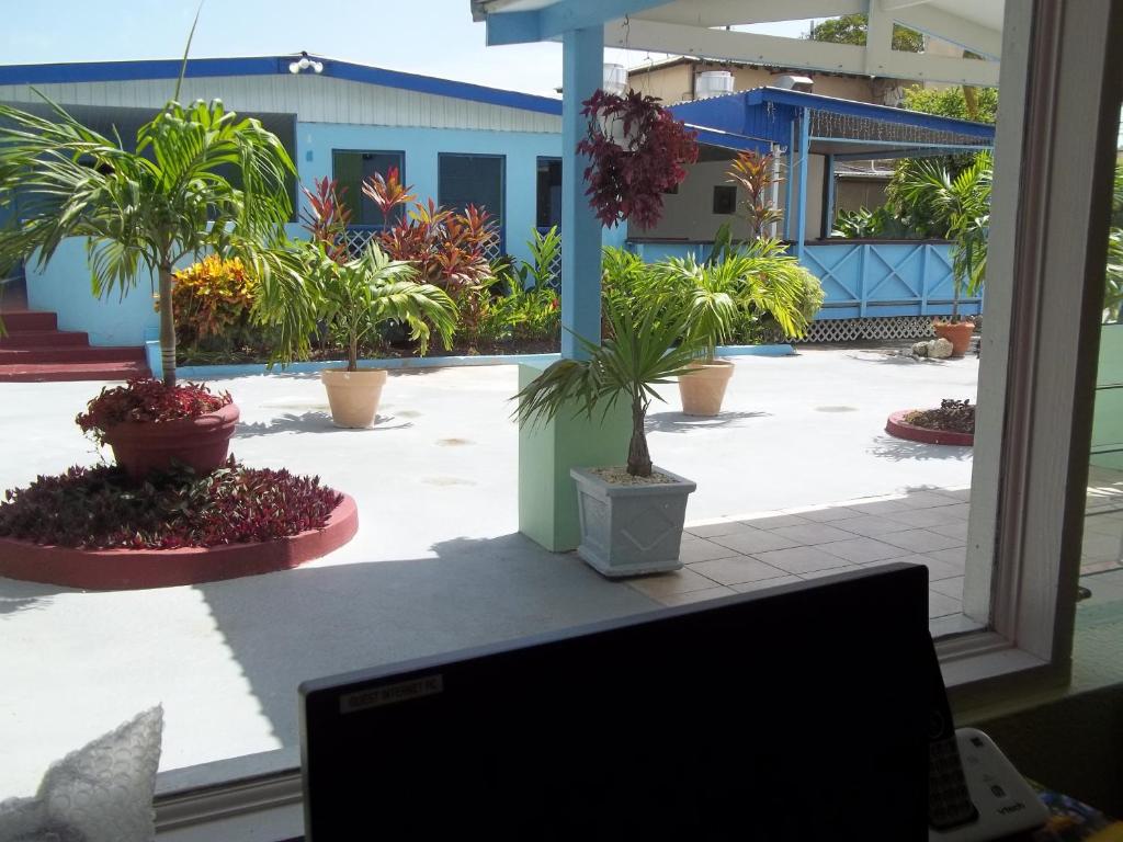 Palm Garden Hotel photo 6