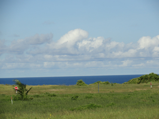 Homesites Barbados Ltd photo 2