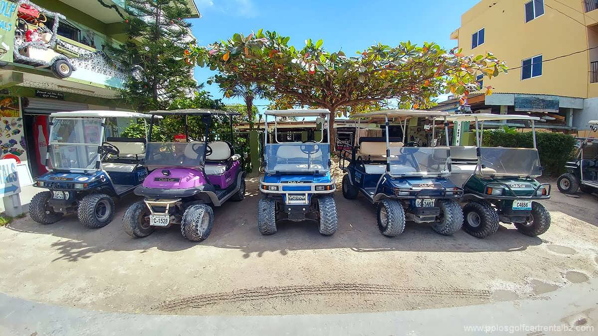 Polo's Golf Cart Rental photo 8