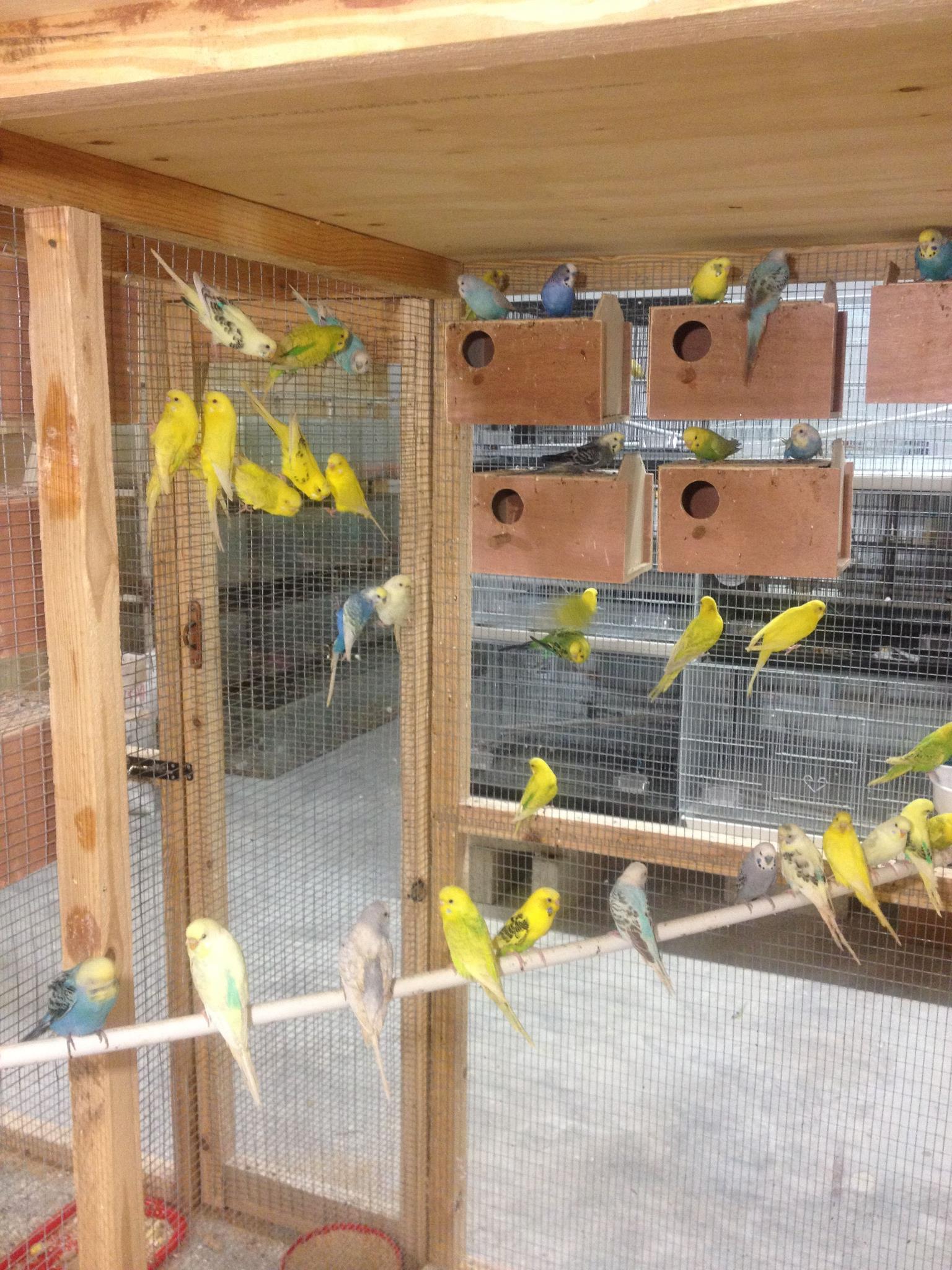 P & R Pet Shop Ltd photo 8