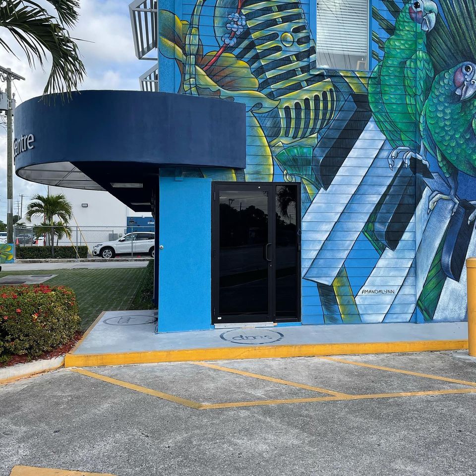 Cayman Window Tinting photo 5