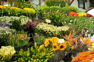Flower Gallery Ltd photo 4