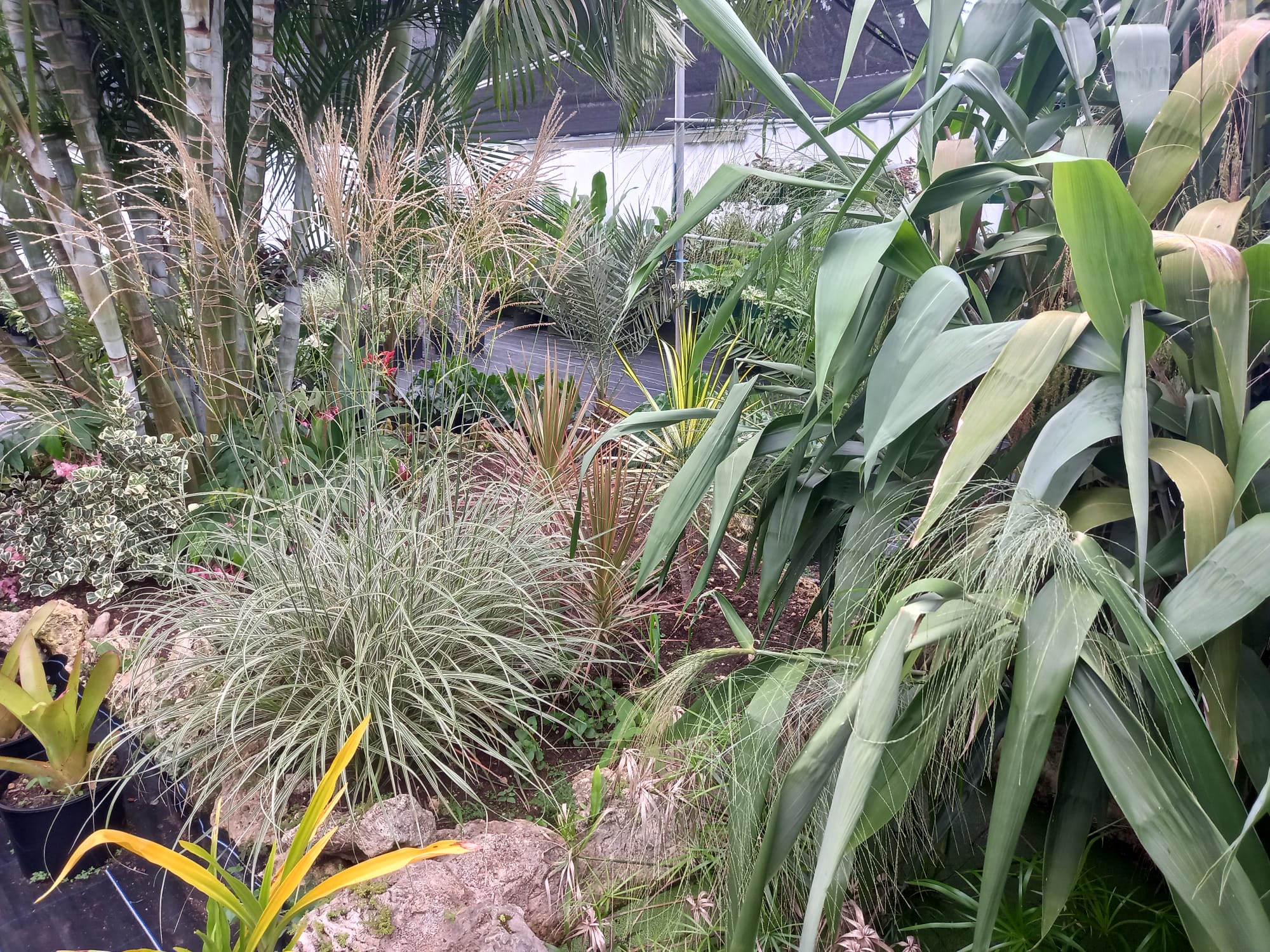 The Garden Shed photo 6