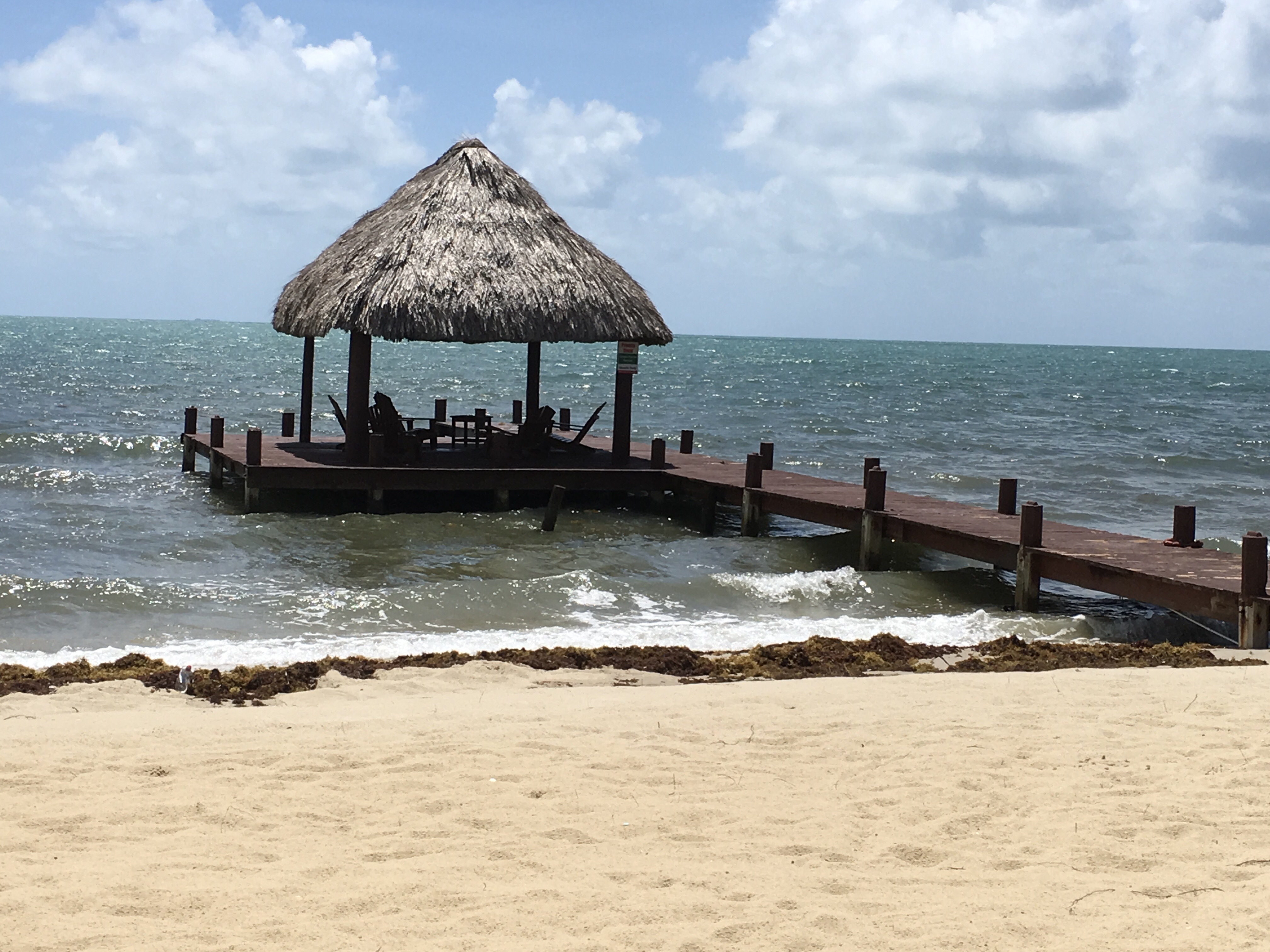 Green Parrot Beach Houses & Restaurant photo 1