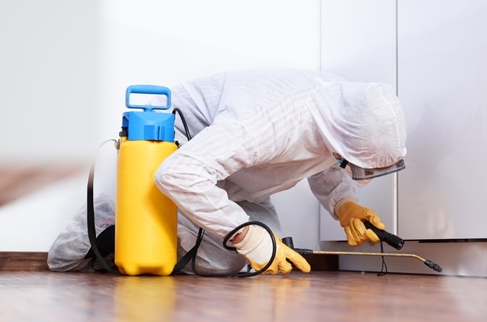 ALPS Pest Solutions Ltd photo 4