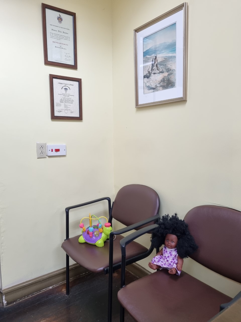 Dr. Simone Dundas Byles photo 3