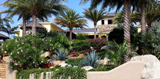 Minine's Plants & Landscaping photo 2