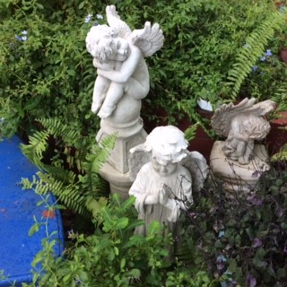 St Thomas Plants Nursery photo 3