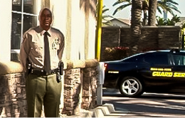 Caribbean Guardian Security Ltd photo 6