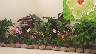 Rejunoviva Medical Clinic photo 2