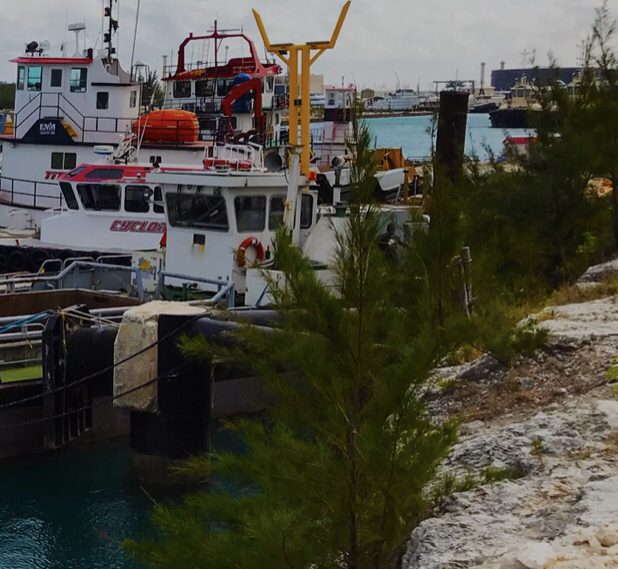 Executive Marine Management photo 3