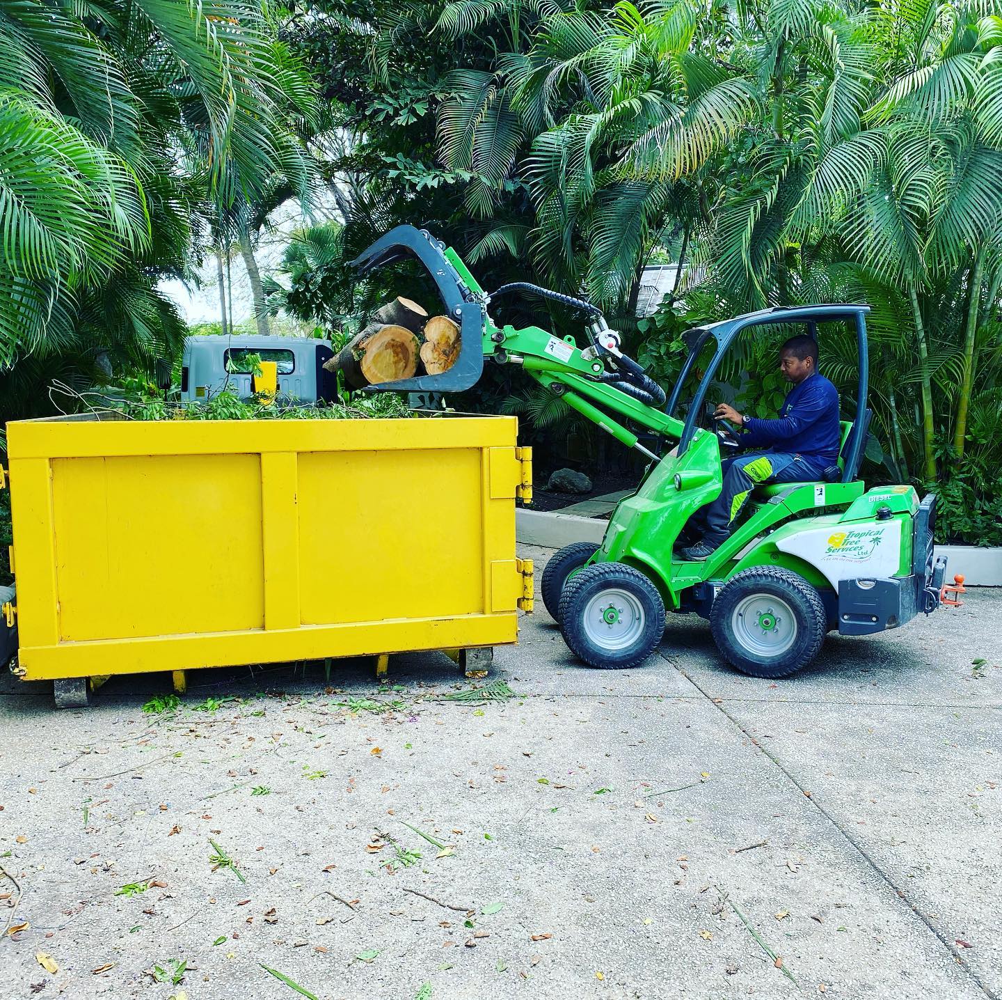 Tropical Tree Services photo 8