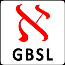 Gemini Business Solutions Ltd logo
