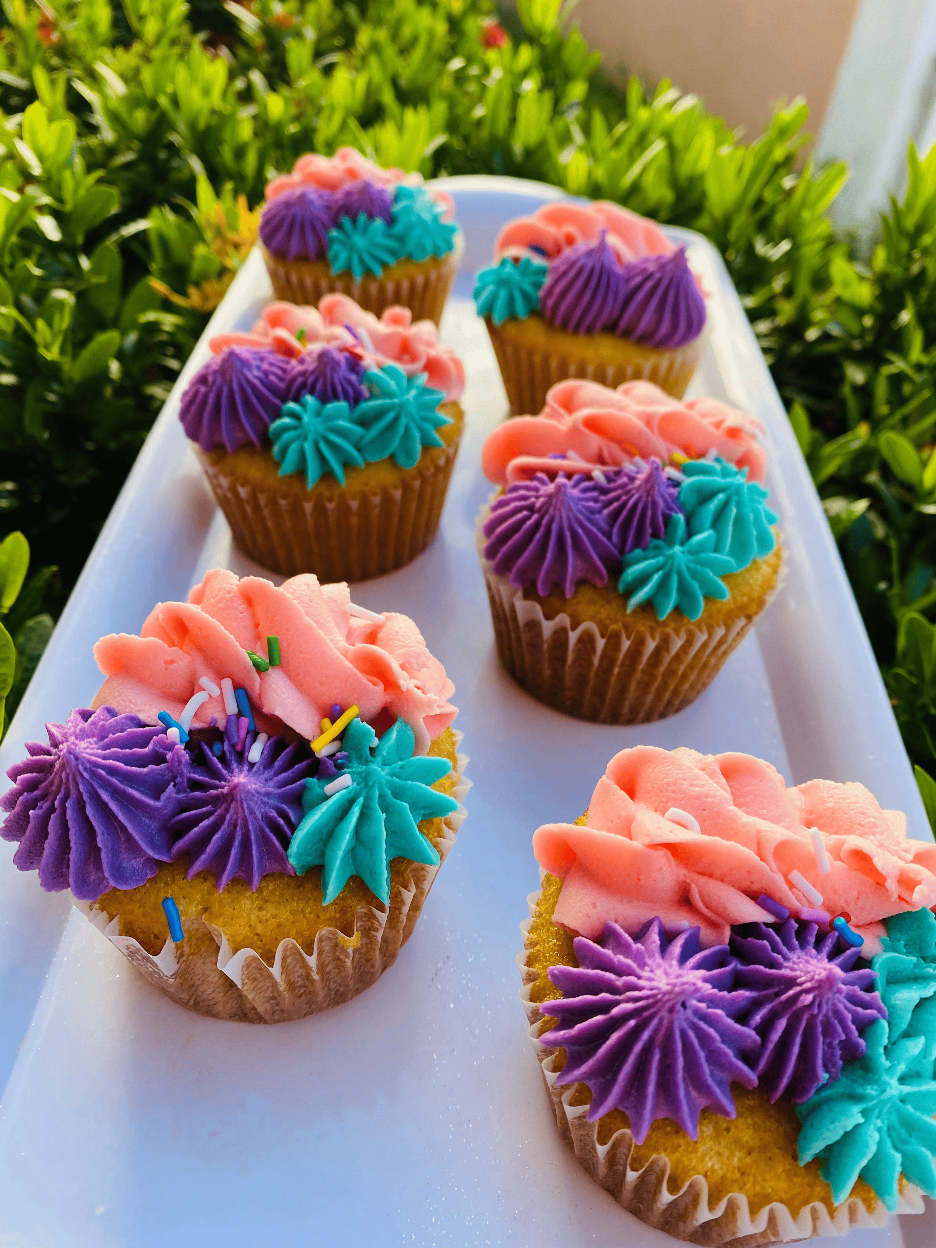 The Candy Pusherz photo 1