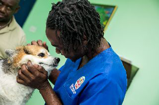 Noah's Ark Veterinary Centre photo 1