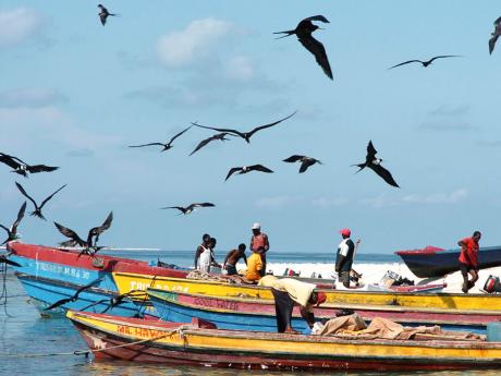 Jamaica Fishermen Co-Op Union Ltd photo 4