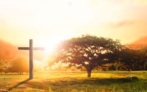 A & S Funeral Services photo 2