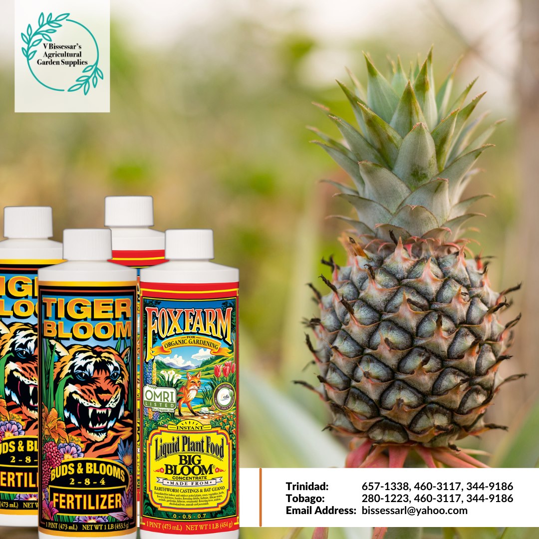 V Bissessar Agricultural Garden Supplies Ltd photo 4