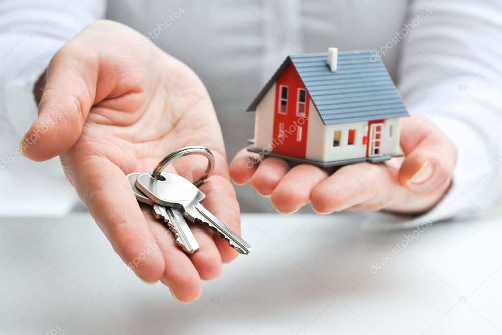 Icon Real Estate Agency photo 2