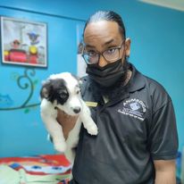 Animedics Pet Hospital photo 3