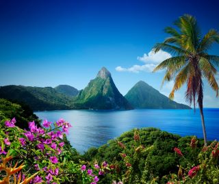 Solar Tours & Travel photo 4