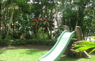 Wallace Landscaping Services photo 8