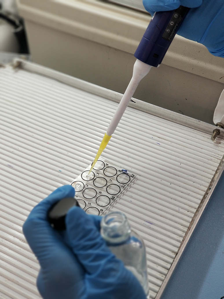 Biomedical Caledonia Medical Laboratory Limited photo 6