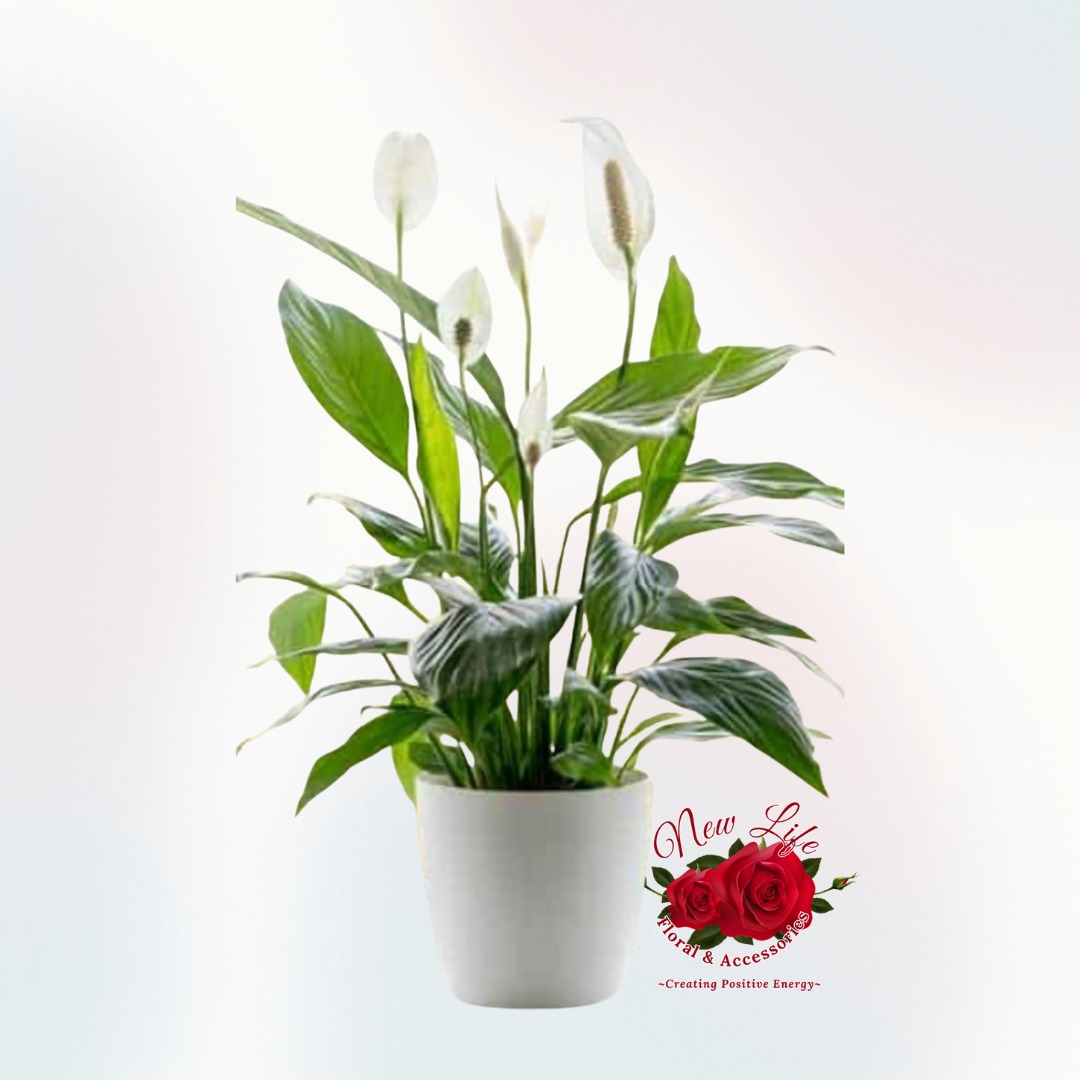 New Life Floral & Accessories photo 10
