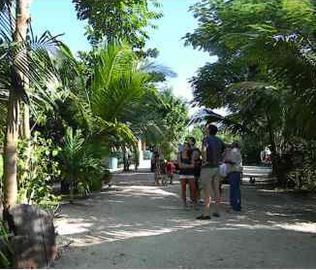 Lamanai Eco Tours photo 15