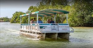 Black River Safari photo 5