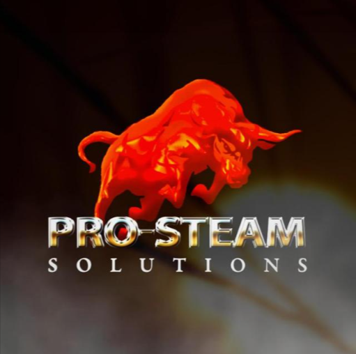 Pro-Steam Solutions logo