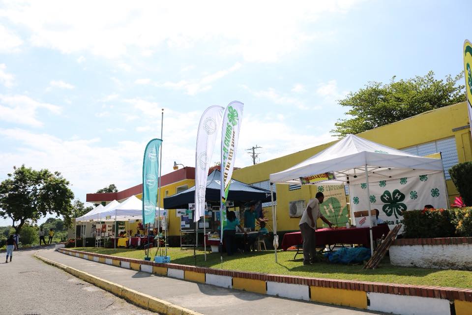 College Of Agriculture Science & Education photo 6
