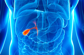 Endo-Laparoscopic Surgi-Centre photo 2