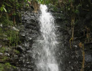 Holywell Recreational Area photo 1