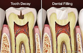 Shadav Dental Care - Dr Wendy Ward BS DMD photo 1