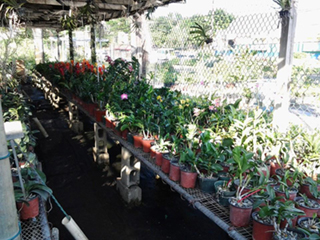 Cornwall Garden Center Pets & More photo 2