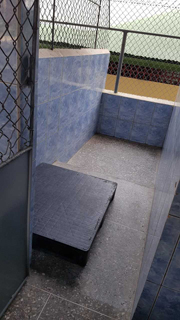 Cunupia Veterinary Clinic Ltd photo 4