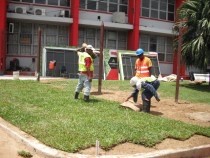 Dynaprofs Landscaping Services Ltd photo 12