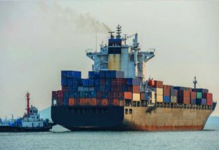 Sea Freight Agencies & Stevedoring Ltd photo 4