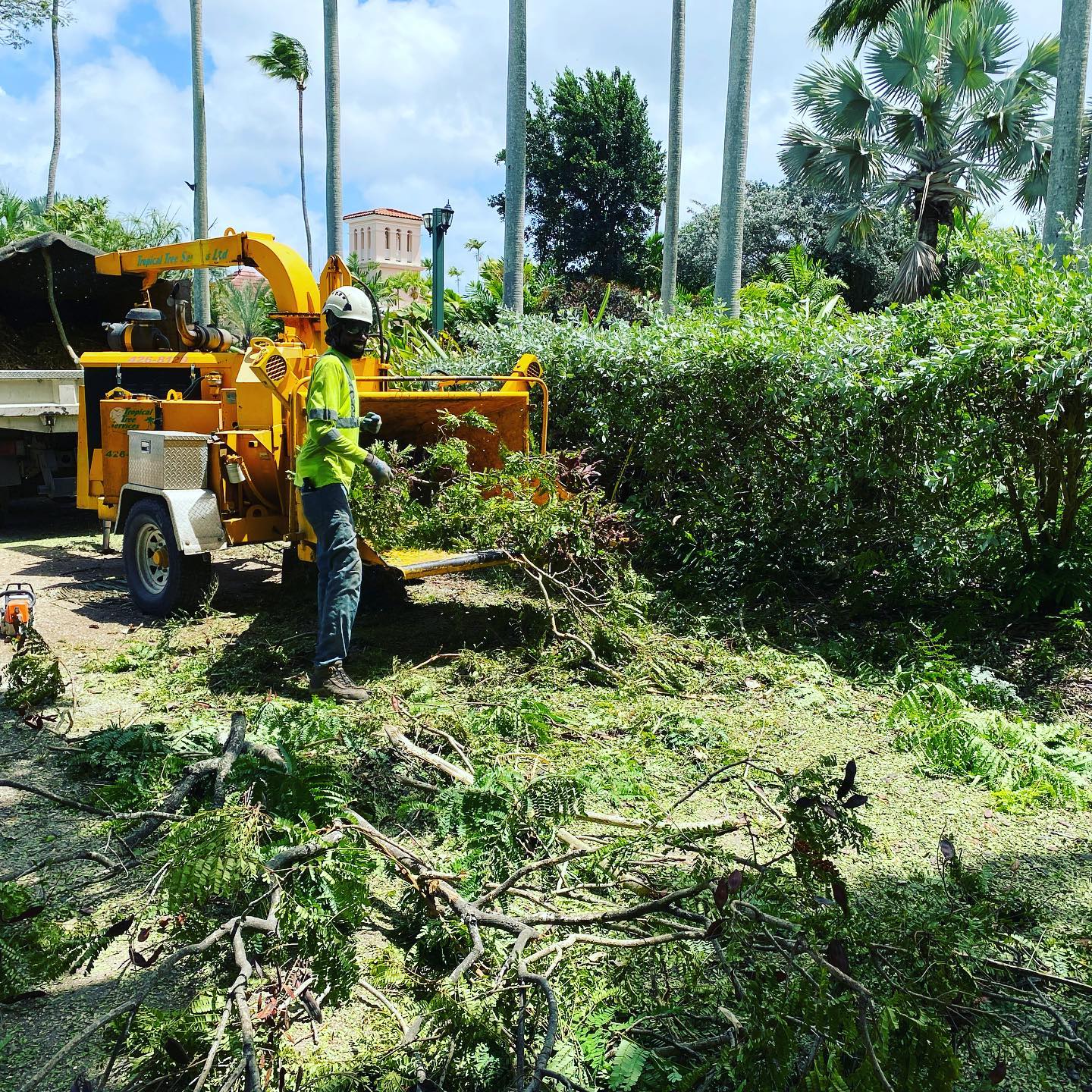 Tropical Tree Services photo 3