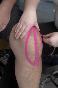 Orthoplex photo 3