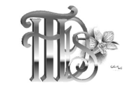 Tooth Haven Dental Studio logo