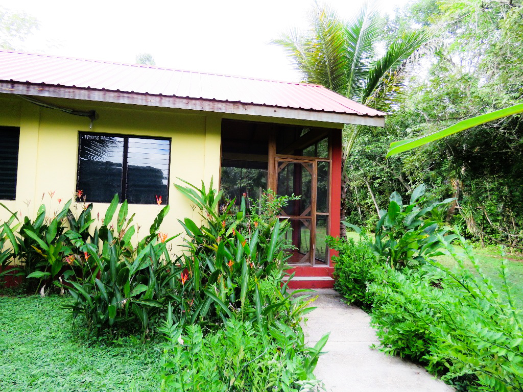 Crystal Paradise Resort photo 5