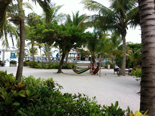 SunBreeze Hotel photo 4
