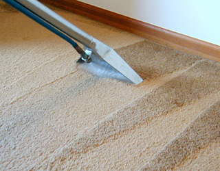 Clean-San Services Ltd photo 3