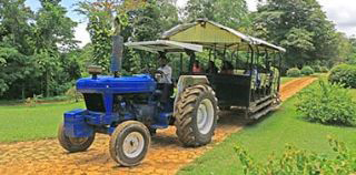 Yaaman Adventure Park photo 4