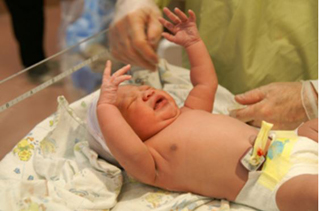 Kiddie Care Paediatricians photo 3