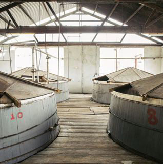 Mount Gay Distilleries Ltd photo 2