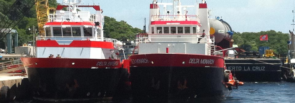 Delta Logistics Ltd photo 4