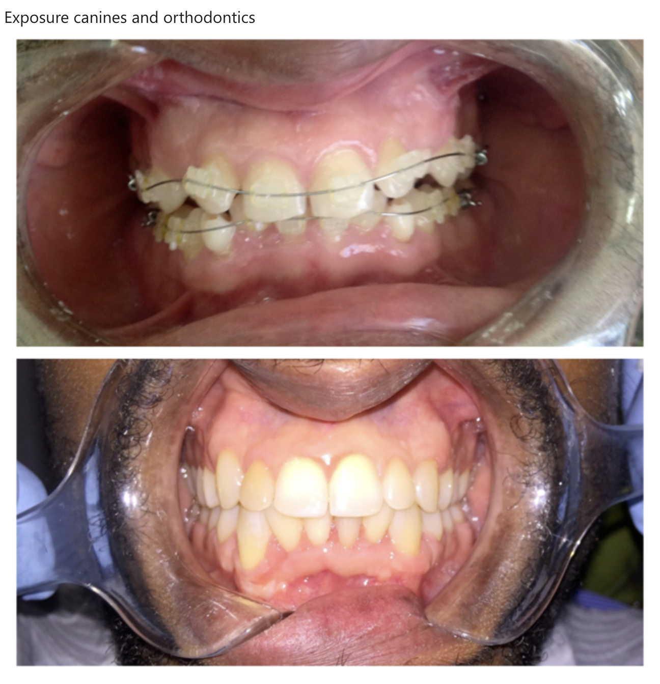 South Coast Dental photo 9